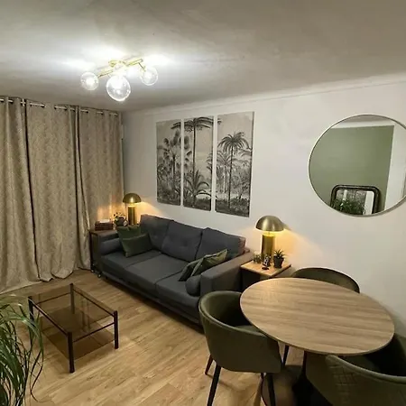 Charmant 45 M2, Hyper Centre דירה קאין